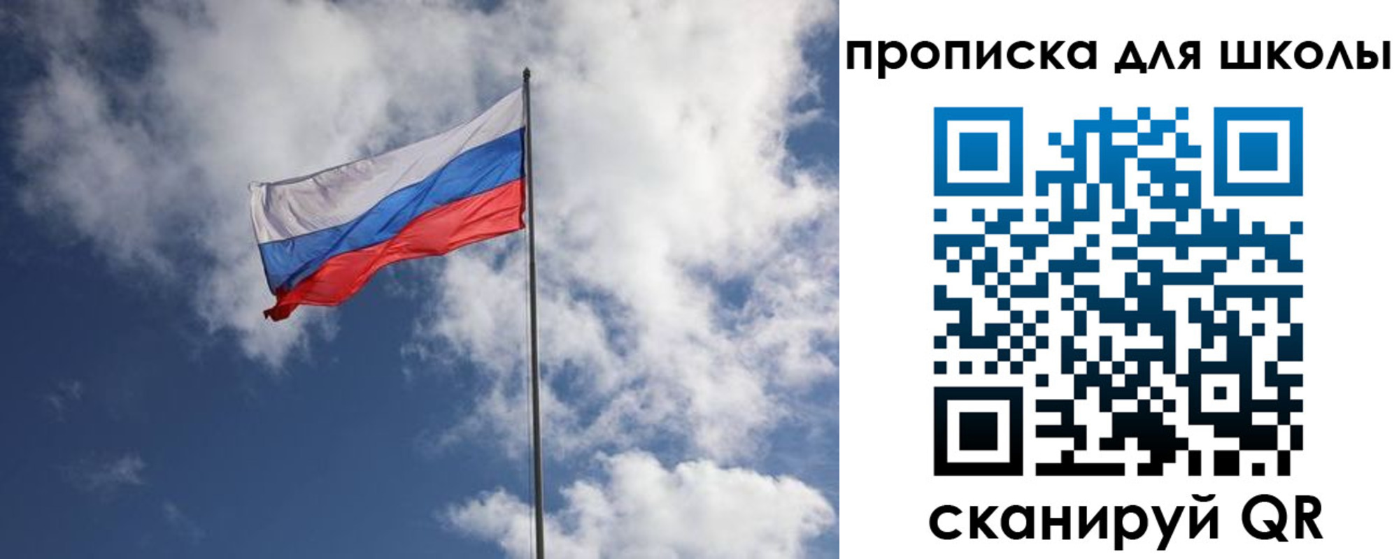 прописка поиск в Сольцах